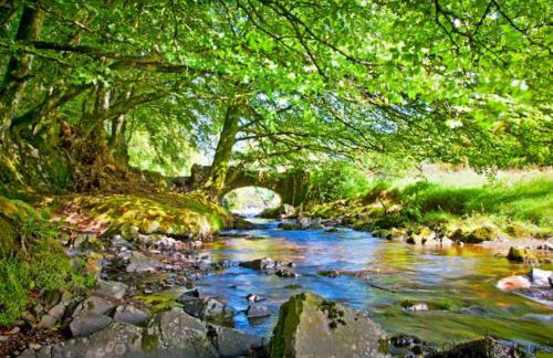 Monkleigh Coachmans Cottage 1 Bedroom - Foto 46