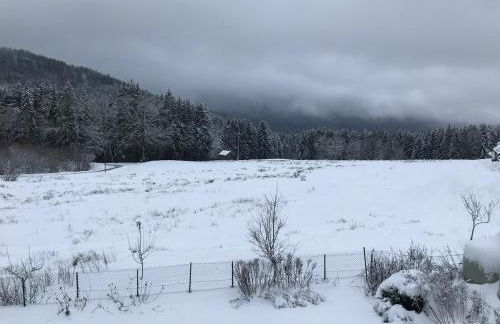 Le Gîte du Chat Gru - Foto 13