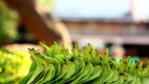 Mylapore Privater Spaziergang - Foto 2