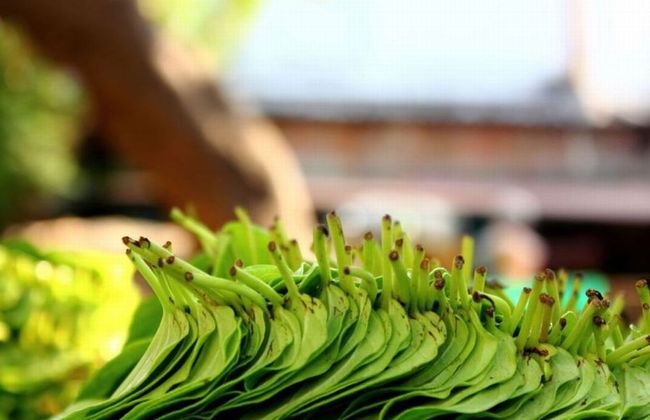 Mylapore Privater Spaziergang - Foto 2