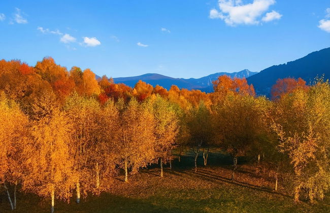 Villa Il Castagno - Foto 55