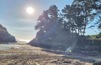 Apartamentos Les Texuques II - Foto 17