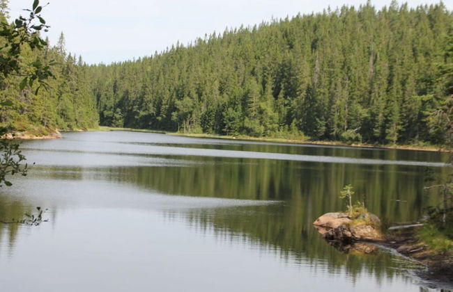 Nyhyttan Comfortable Holiday Residence - Foto 15