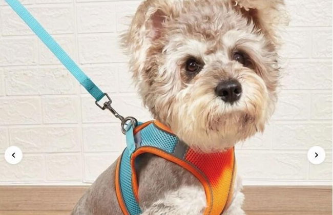 Los Lagos Mesa - Photo 32