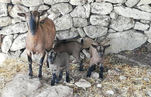 Le Grotte di Sileno - Foto 49