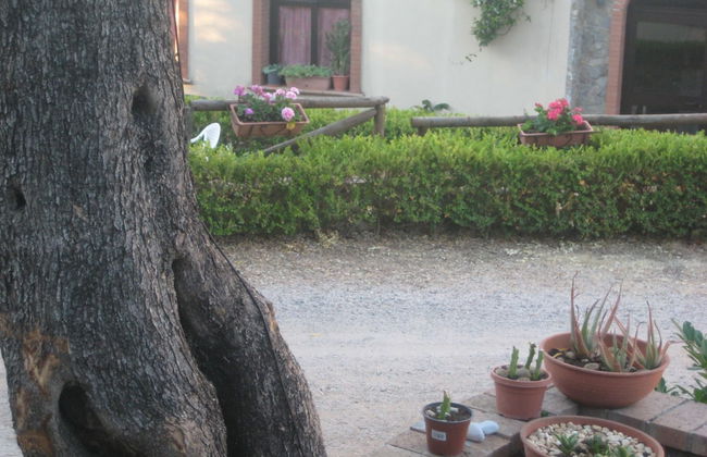 Residence San Antonio - Foto 40