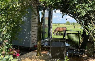 Tiny House nah am Nationalpark - Foto 28