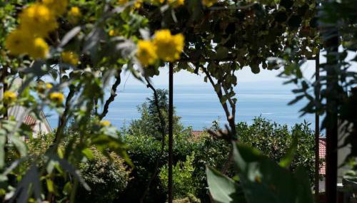 Green Garden Oasis - Foto 2