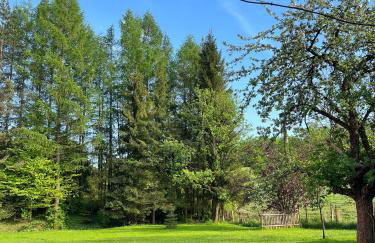 Śpimy u Dziadków - APARTAMENTY BIESZCZADY - Foto 40