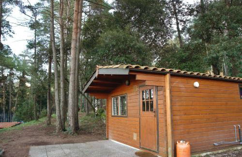 Cabañita de madera en Mas Coguleras - Photo 4