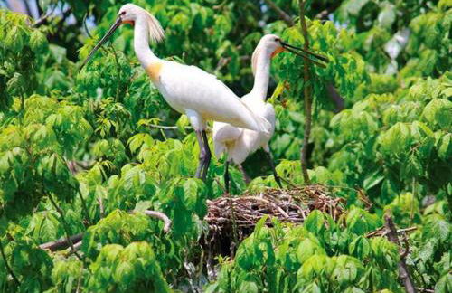 Casa Robusto - Foto 37