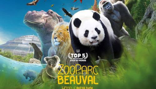 Le mur des beaunes - Photo 3