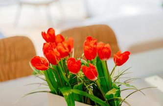 Best Villas - Park Ofir - Foto 99