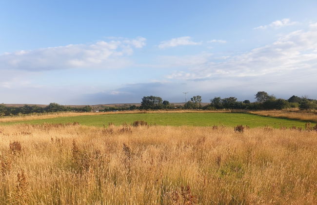 6m Emperor Tent, Near Whitby, With log Burner - Foto 21