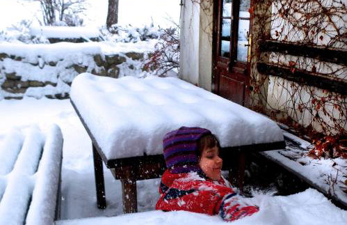 Dom Geologa - Foto 45