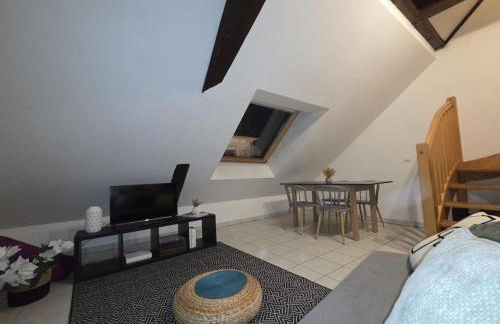 Le Cosy Center - Foto 8