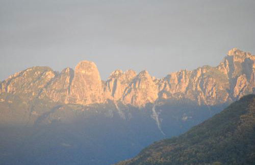 Residence SchioHotel - Foto 6