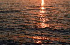 Angel's Houses - Foto 31