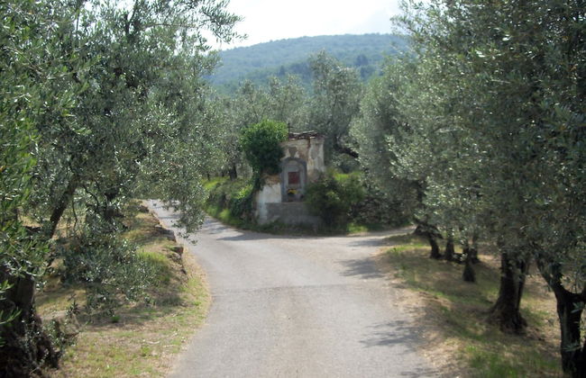 Agriturismo Il Colle - Foto 26