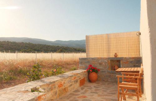 Mitatos "Matthew" - Foto 6