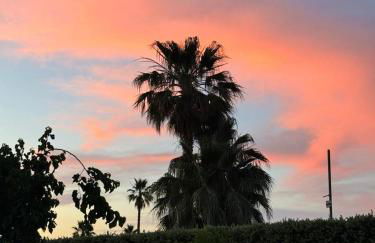 La Lampara sul Mare - Foto 14