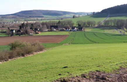Ferienwohnung MW 4a bis 66 m2 Höxter Weserbergland Weser 1-2P 1SZi mBad 3-4P 2SZi m2Bäder Terrasse Wäsche Endreinigung Self CheckIn - Foto 37