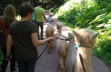 Ferienwohnungen Schwabenhof - Foto 30
