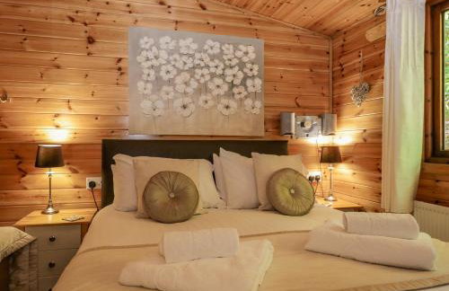 Scafell Lodge - Photo 15