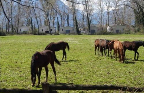 Little village Trikala - Photo 36