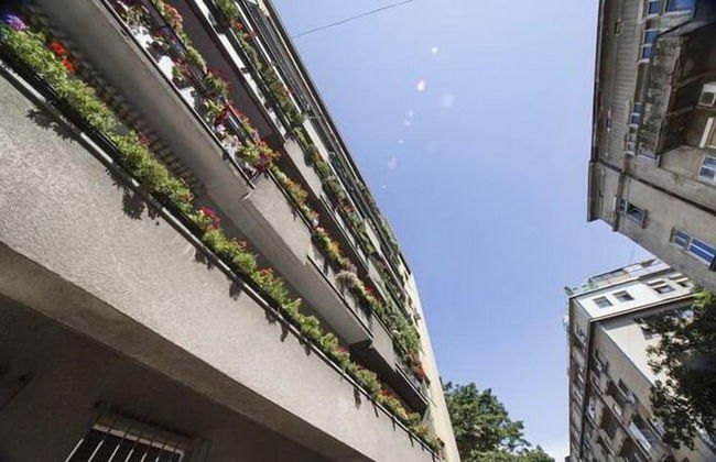 Apartment Green - Near Kalemegdan Citadel - Foto 17