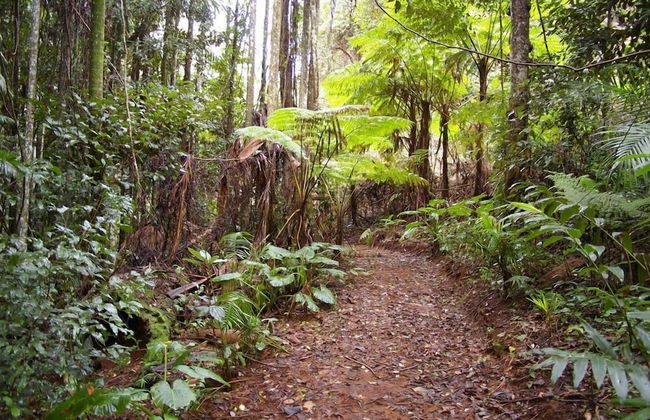 Bellthorpe Stays - Foto 33