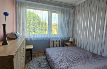 Piętnastka - Foto 3