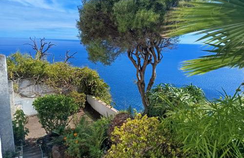 Private Oceanfront Cottage with 180 degree Sea View, 100 m Terrace - Foto 15