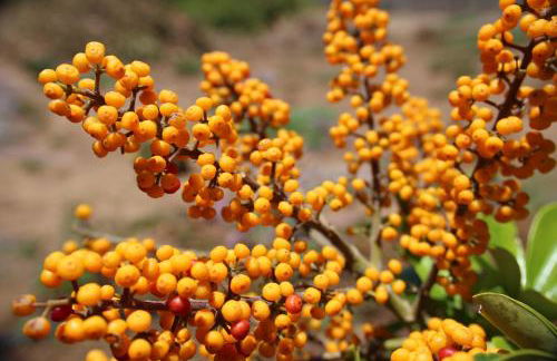 Finca La Punta - Foto 69