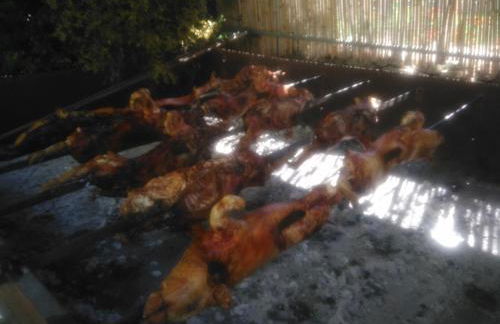 Agriturismo la Mimosa - Foto 15