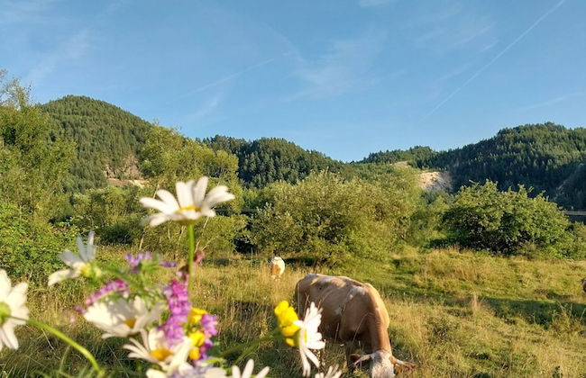 Rustic Wild Retreat IN Romania - Foto 48