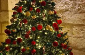 Da Lorenza di Casa Camilla Journey - Foto 4