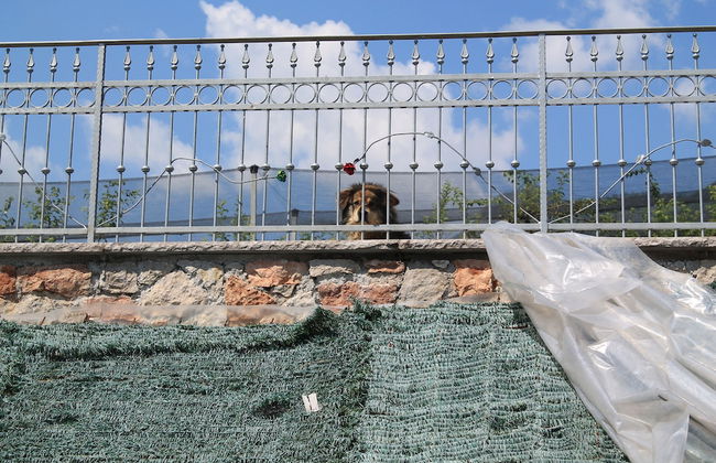 Agriturismo Maso Alle Rose - Foto 21