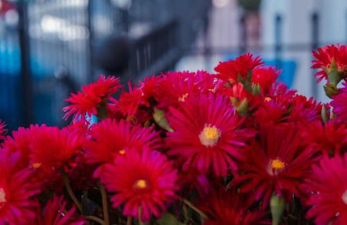 Maison Matilda 1 - Foto 61