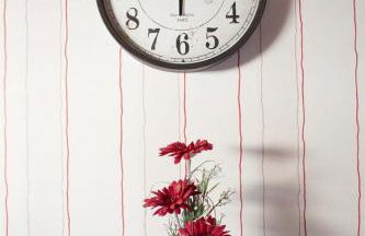 Mathildas Ferienwohnung - Foto 8