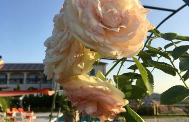 Domaine Isaure - Foto 58