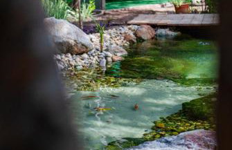 Boa Village- Bungalow com Piscina Natural- Praia de Algodões - Foto 17