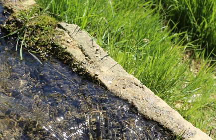 Hollweck´s Landoase - Foto 65