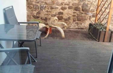 AKK5 Großes Apartment mit Terrasse Nähe Hbf/Uni - Foto 6