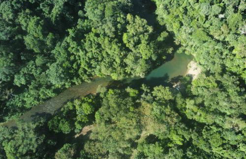 chalé 3 - guache - Foto 25