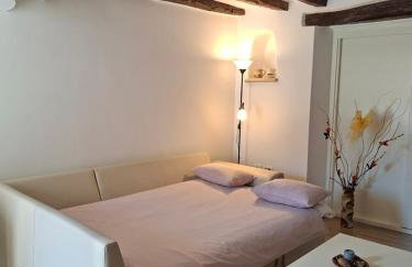 Apartment Nena- apartman sa posebnim ulazom u prizemlju, terasom i zelenom okućnicom - Foto 7