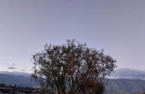 Il Calice dell'Etna - Foto 23