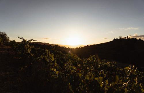 Quinta Vale das Papas - Foto 61