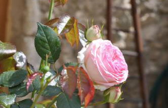 Gîtes du Château d'Alençon - Photo 52