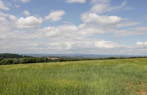 The Malins - Foto 26